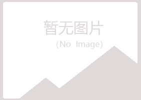 威信县夏岚能源有限公司